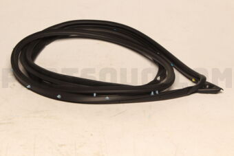 5725A394 W/STRIP,FR DR OPNG,O