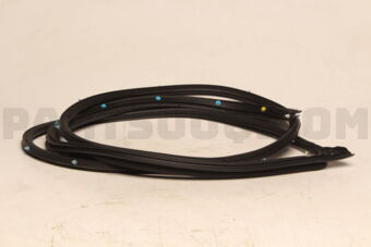 5725A394 W/STRIP,FR DR OPNG,O