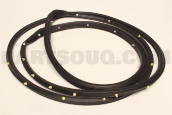 5725A403 W/STRIP,FR DR OPNG,O