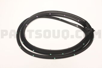 5725A404 W/STRIP,FR DR OPNG,O
