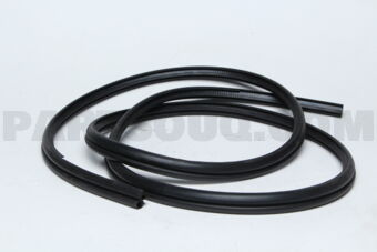 5725A433 W/STRIP,FR DOOR OPNG