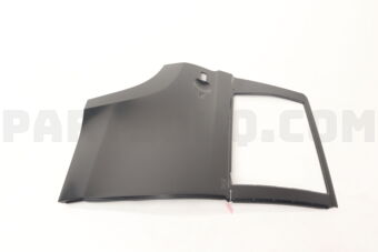 5730B572 PANEL,RR DOOR,OTR RH
