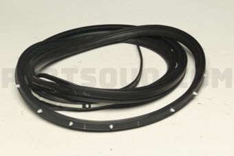 5736A393 W/STRIP,R/DR OPNG,OTR LH