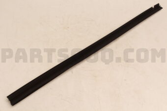 5736A570 W/STRIP,RR DOOR BELT