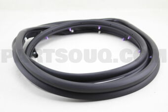 5755A034 W/STRIP,R/DR OPNG,OT