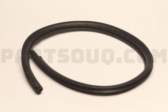 5755A309 Mitsubishi W/STRIP,R/DR OPNG,IN