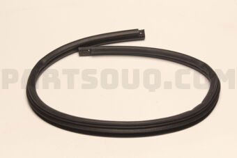 5755A309 Mitsubishi W/STRIP,R/DR OPNG,IN
