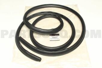 5755A313 W/STRIP,R/DR OPNG,IN