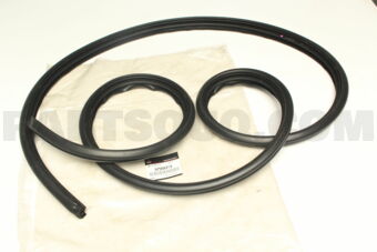 5755A313 W/STRIP,R/DR OPNG,IN