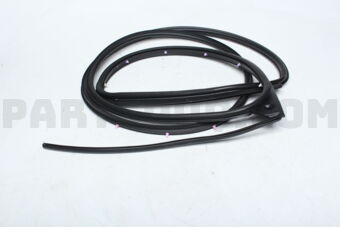 5755A325 W/STRIP,R/DR OPNG,OT