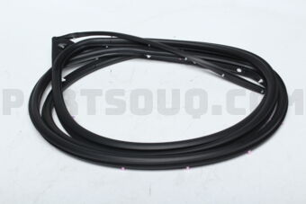 5755A325 W/STRIP,R/DR OPNG,OT