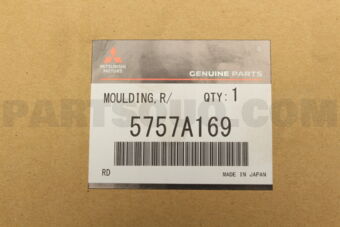 5757A169 MOULDING,R/DOOR PROTECT