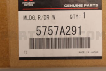 5757A291 MLDG,R/DR WDO BELT LINE,LH