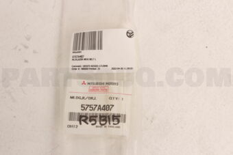 5757A407 MLDG,R/DR WDO BELT L