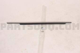 5757A407 MLDG,R/DR WDO BELT L