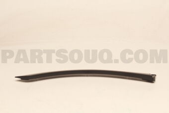 5757A542 MOULDING,R/DOOR PROT