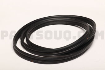 5815A126 W/STRIP,TAILGATE OPE