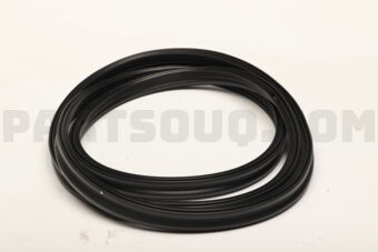 5815A126 W/STRIP,TAILGATE OPE