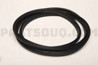5815A131 W/STRIP,TAILGATE OPENING