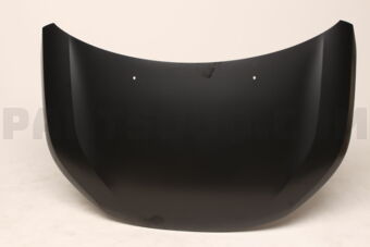 5900B117 HOOD