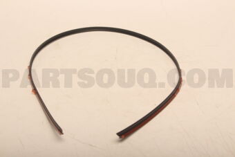 6102B889 MOULDING,WINDSHIELD