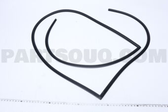 6107A092 MOULDING,WINDSHIELD