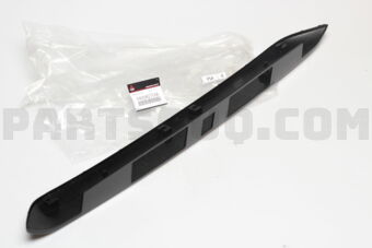 6430A275XA GARN,B/DOOR LICENSE