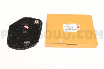 7632D737 MIRROR & HOLDER,DOOR