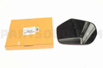 7632D737 MIRROR & HOLDER,DOOR