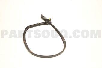 82833W050P W/STRIP,RR DOOR OPNG