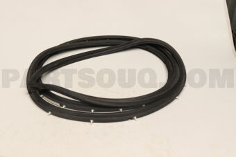 MB421503 W/STRIP,FR DOOR OPEN