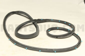 MB422232 W/STRIP,FR DOOR OPENING,RH
