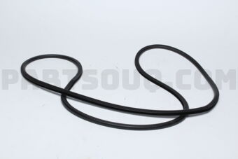 MB478724 TRIM,RR DOOR OPENING
