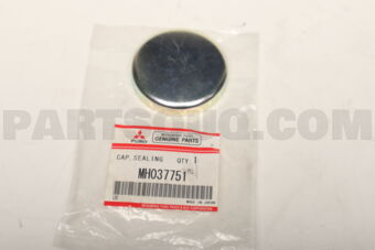 MH037751 CAP,CYLINDER BLOCK