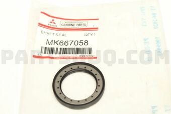 MK667058 