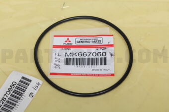 MK667060 