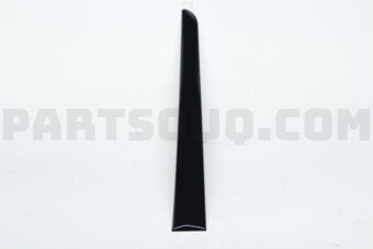 MN117413BB MLDG,FR DOOR PROTECT
