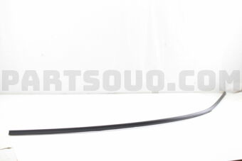MN117541 MOULDING,DRIP LH