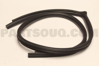 MN169652 W/STRIP,FR DR OPNG,INR RH