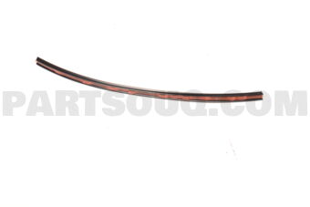 MR607468 PROTECTOR,FR BUMPER EDGE