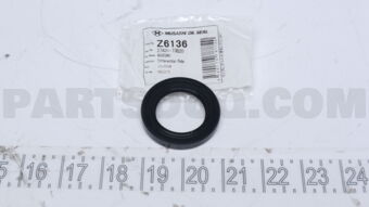 2743173B20 DIFFERNTIAL RR