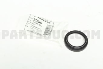I3685 REAR EXTENSION
