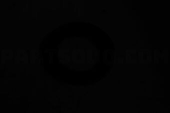T1195 OIL SEAL