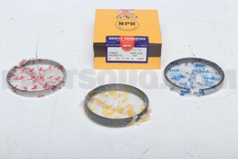 SDG30011ZXSTD PISTON RING
