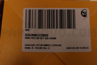 SDG30061ZZ0050 RING PISTON SET 050 D4EBN