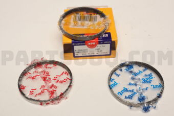 SDM31171ZZ0025 RING PISTON SET 025 4N15