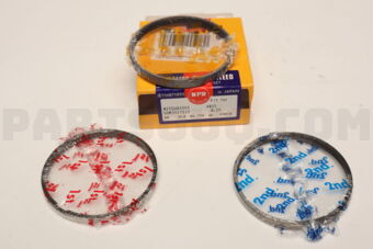SDM31171ZZ0025 RING PISTON SET 025 4N15