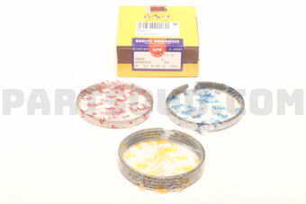 SDT10124ZYSTD PISTON RING