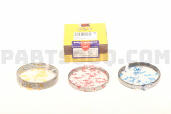 SDT10124ZYSTD PISTON RING