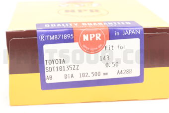 SDT10135ZZ050 PISTON RING SET